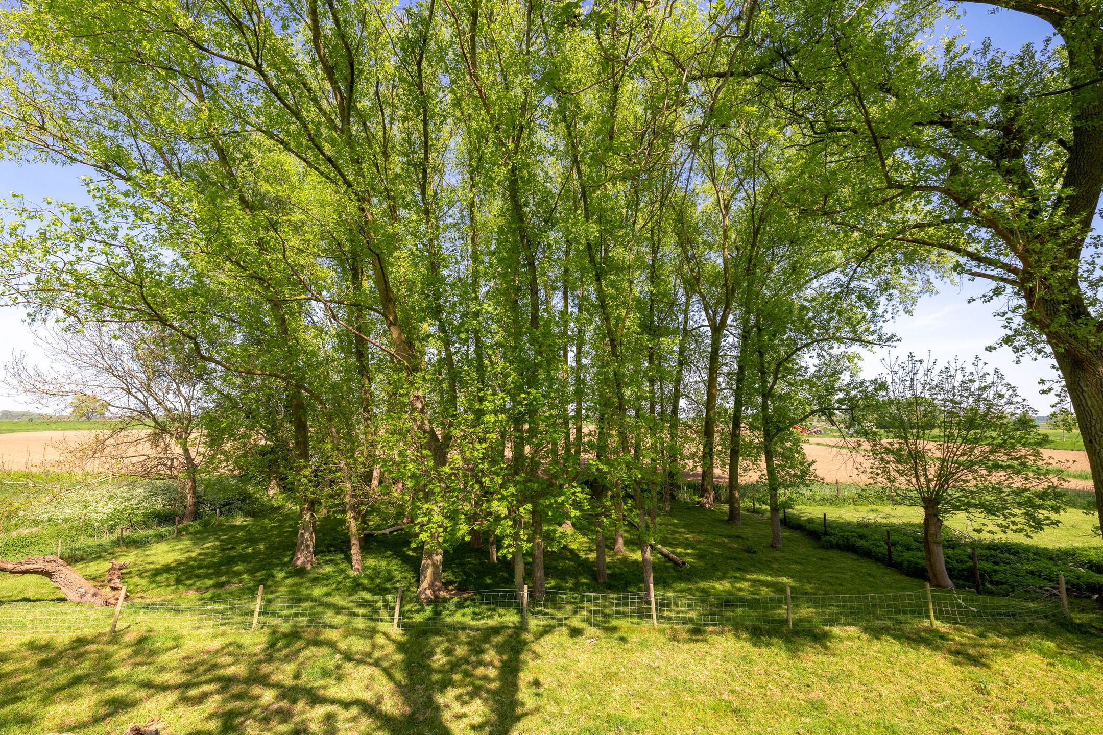 Foto 84 van Oude Schoolstraat 8