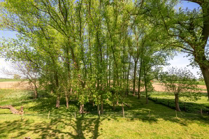 Foto 84 van Oude Schoolstraat 8