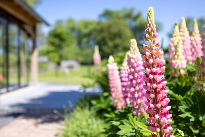 Foto 94 van Oude Schoolstraat 8