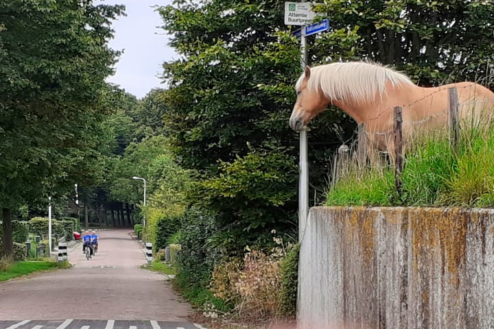 Foto 104 van Oude Schoolstraat 8