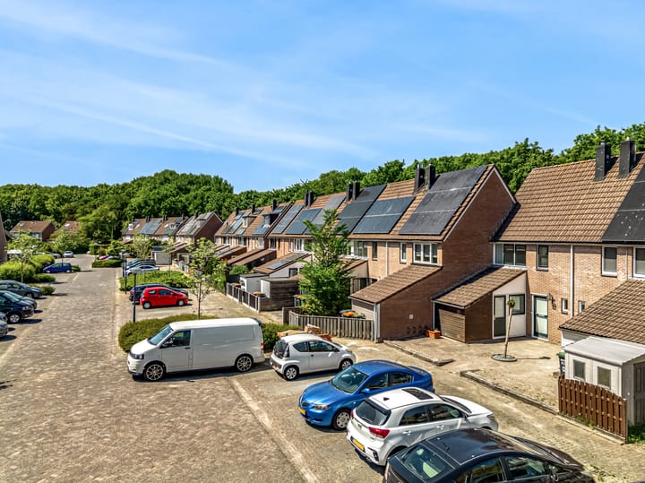 Foto 32 van Verfmolen 64