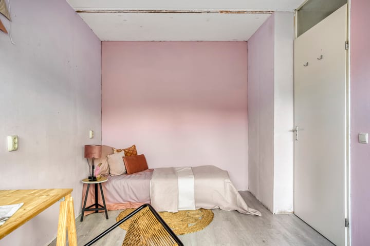 Photo 22 of Paulus Potterstraat 109