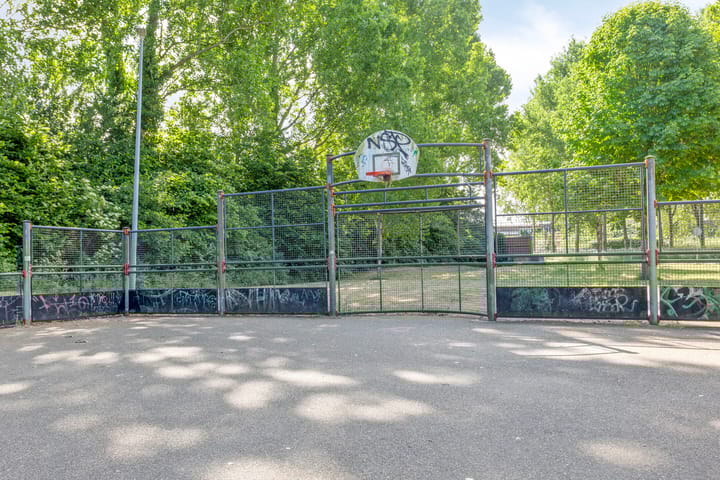 Photo 42 of Paulus Potterstraat 109