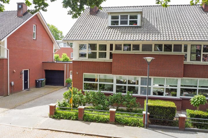 Foto 5 van Hermelijnvlinder 31