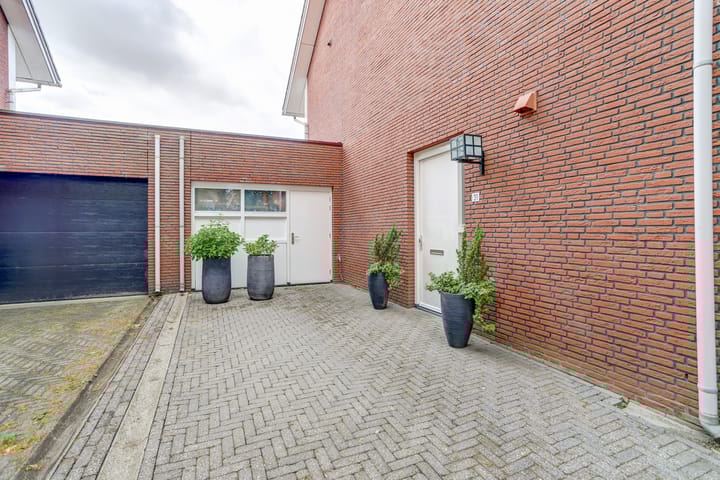 Foto 8 van Hermelijnvlinder 31