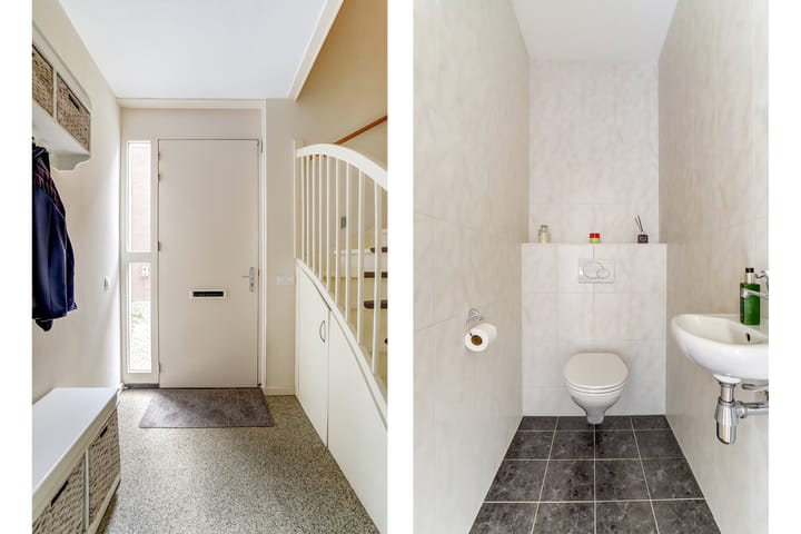 Foto 9 van Hermelijnvlinder 31