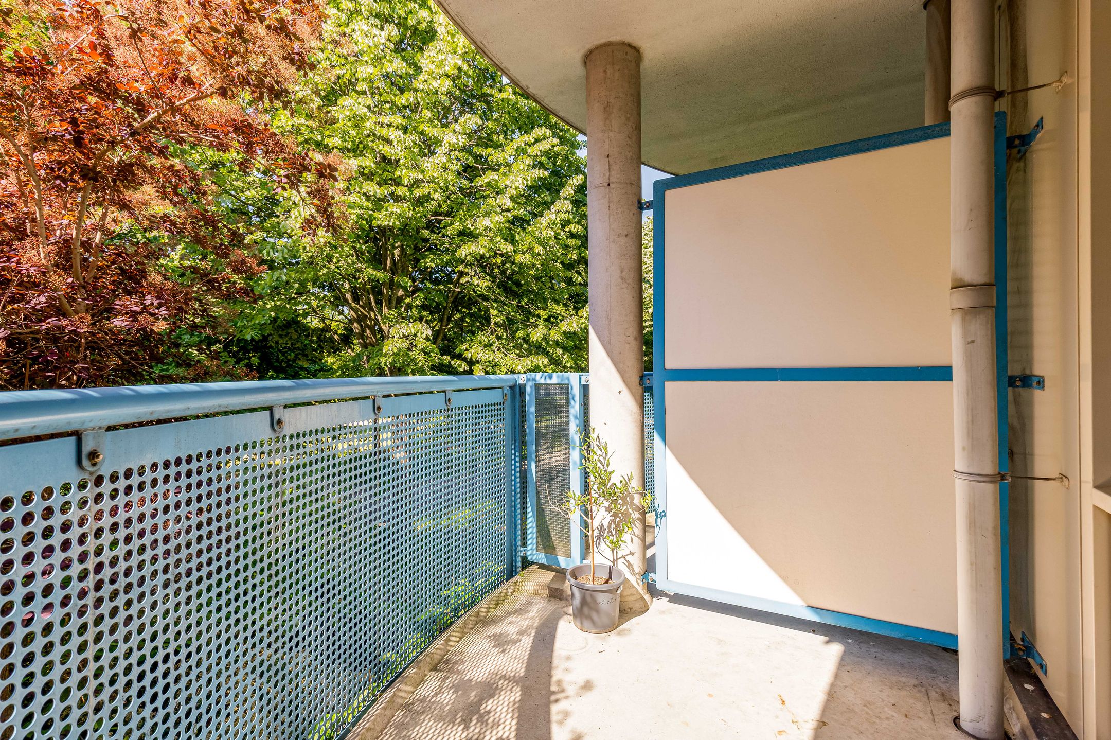 Foto 18 van Mandolinestraat 147