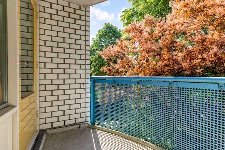 Foto 19 van Mandolinestraat 147