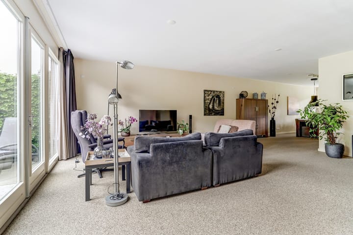 Foto 2 van Hermelijnvlinder 31