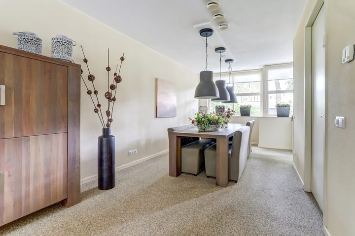 Foto 17 van Hermelijnvlinder 31