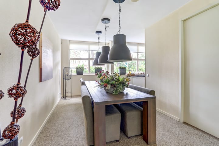 Foto 18 van Hermelijnvlinder 31