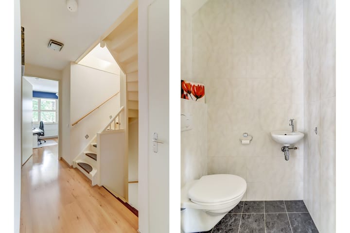 Foto 22 van Hermelijnvlinder 31