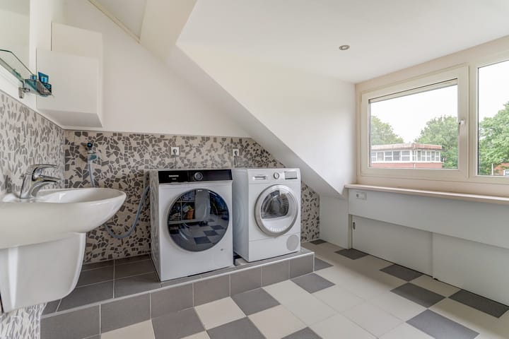 Foto 32 van Hermelijnvlinder 31