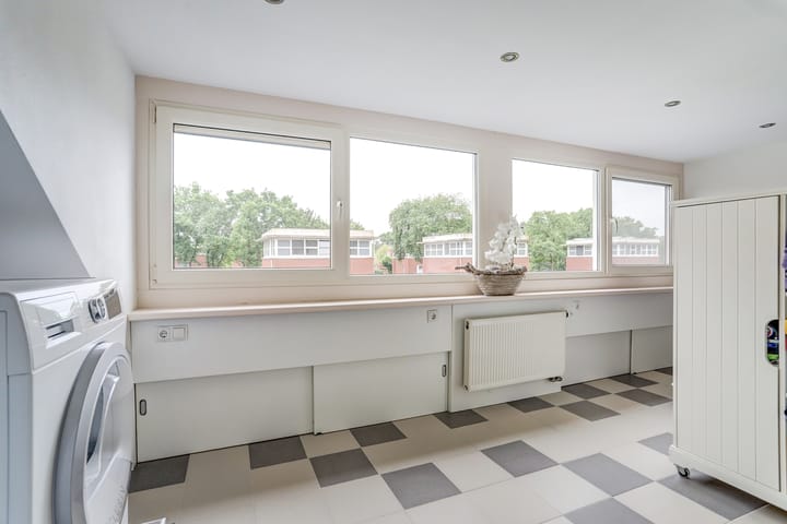 Foto 33 van Hermelijnvlinder 31