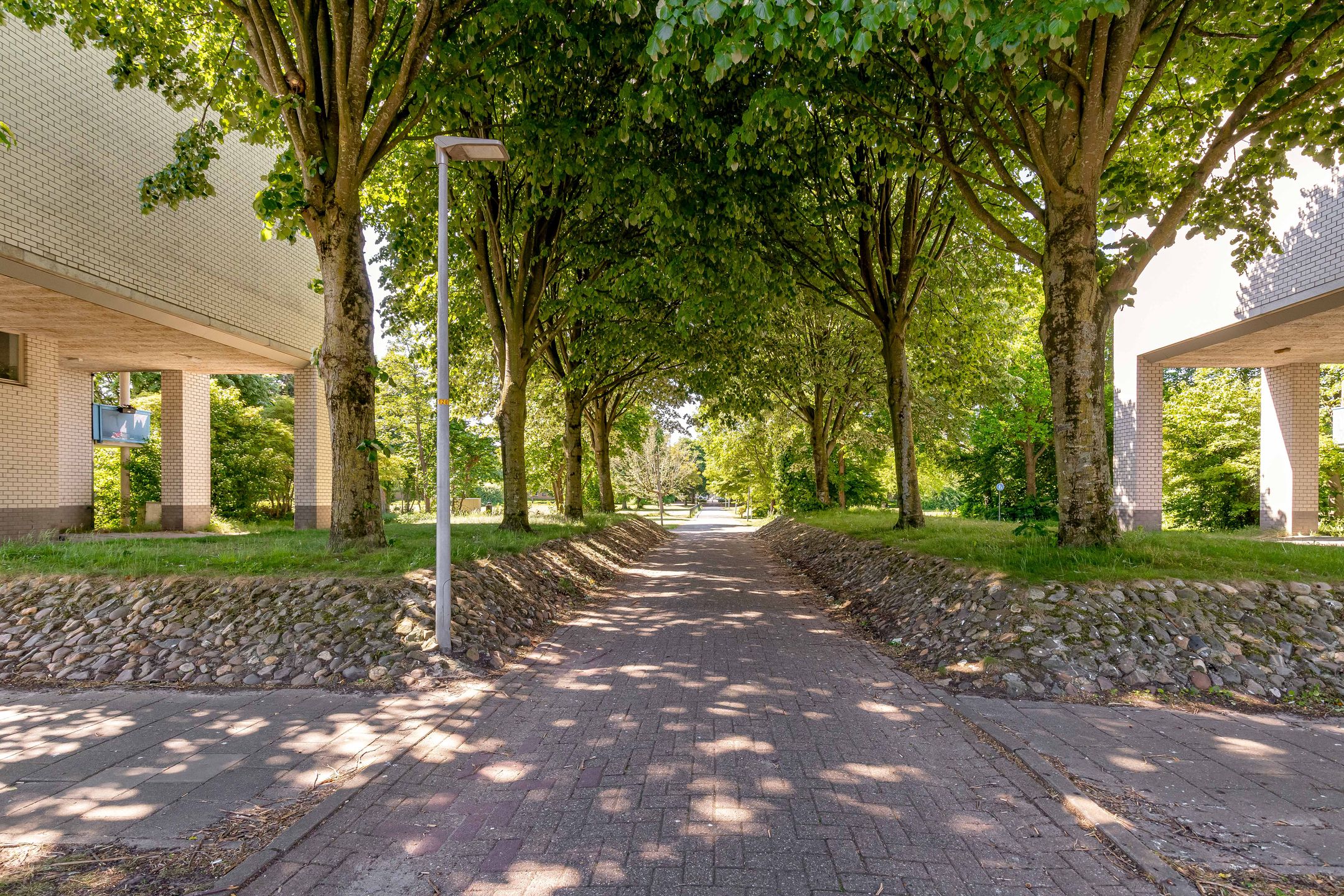 Foto 42 van Mandolinestraat 147