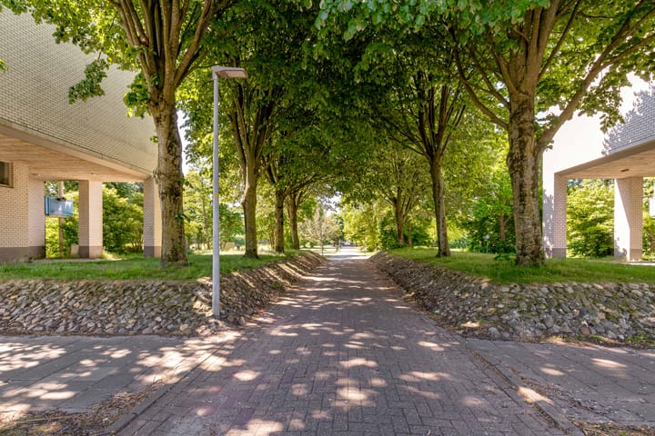 Foto 42 van Mandolinestraat 147