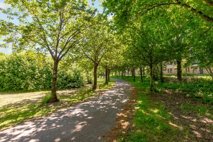 Foto 45 van Mandolinestraat 147