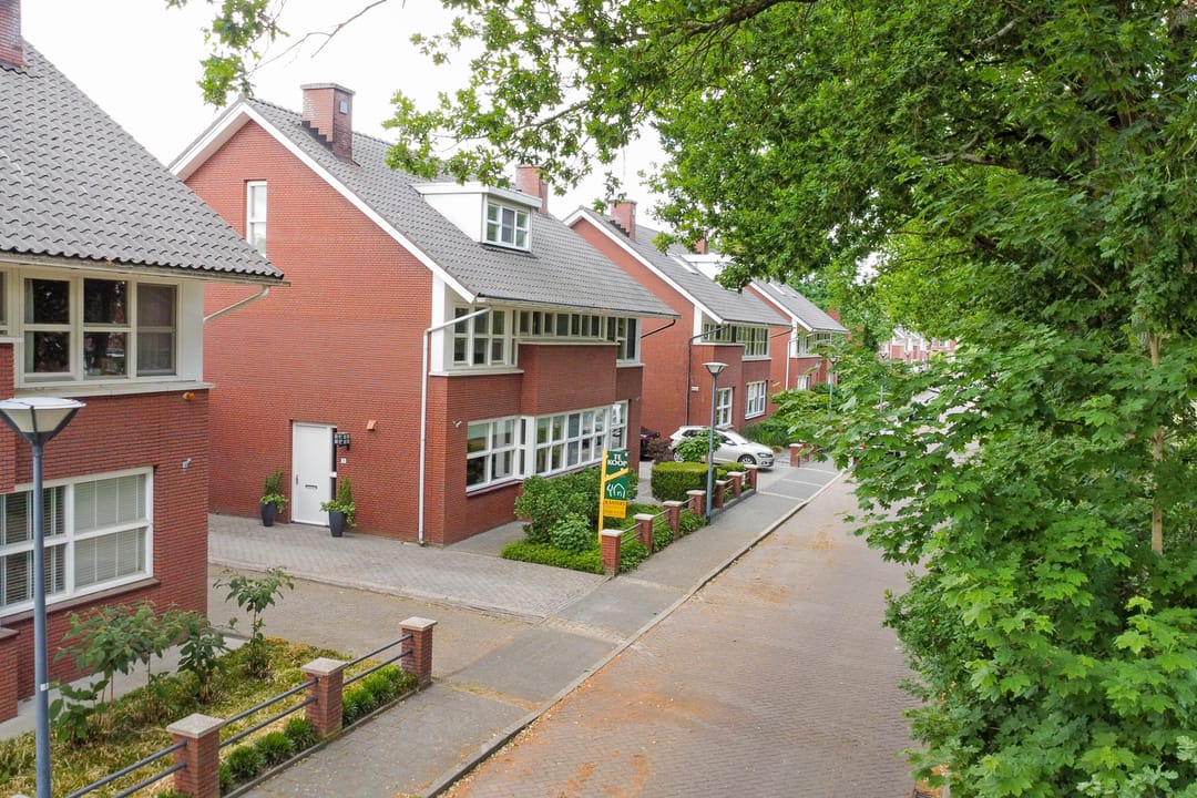Photo 41 of Hermelijnvlinder 31