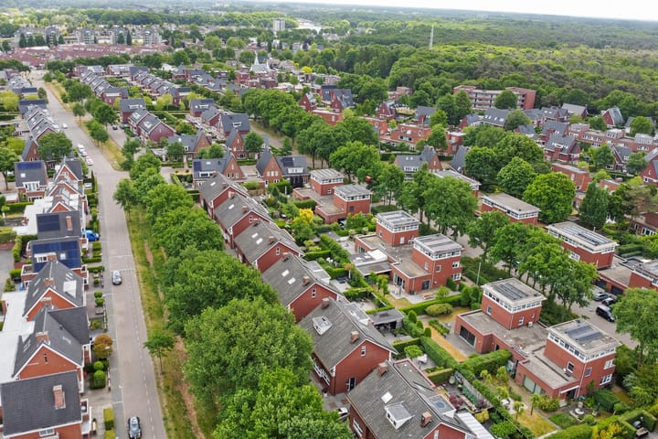 Foto 42 van Hermelijnvlinder 31