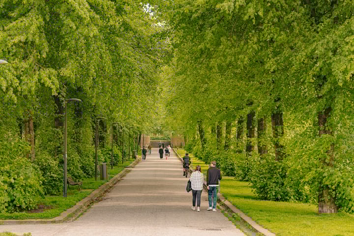 Foto 27 van Orteliuskade 65-1