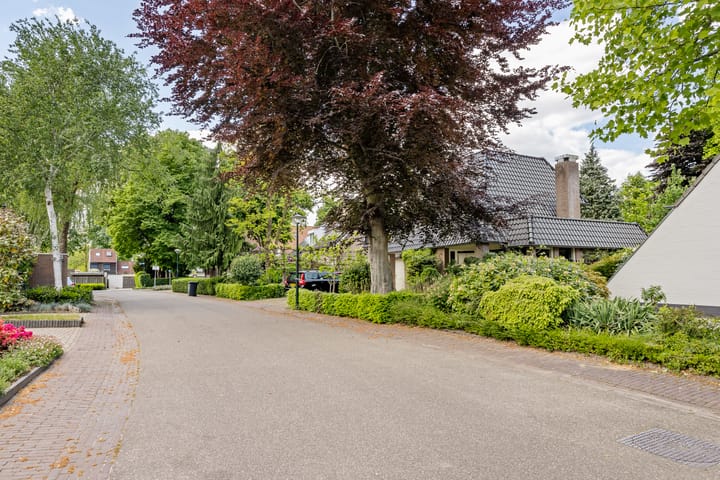 Foto 53 van Laarpark 43