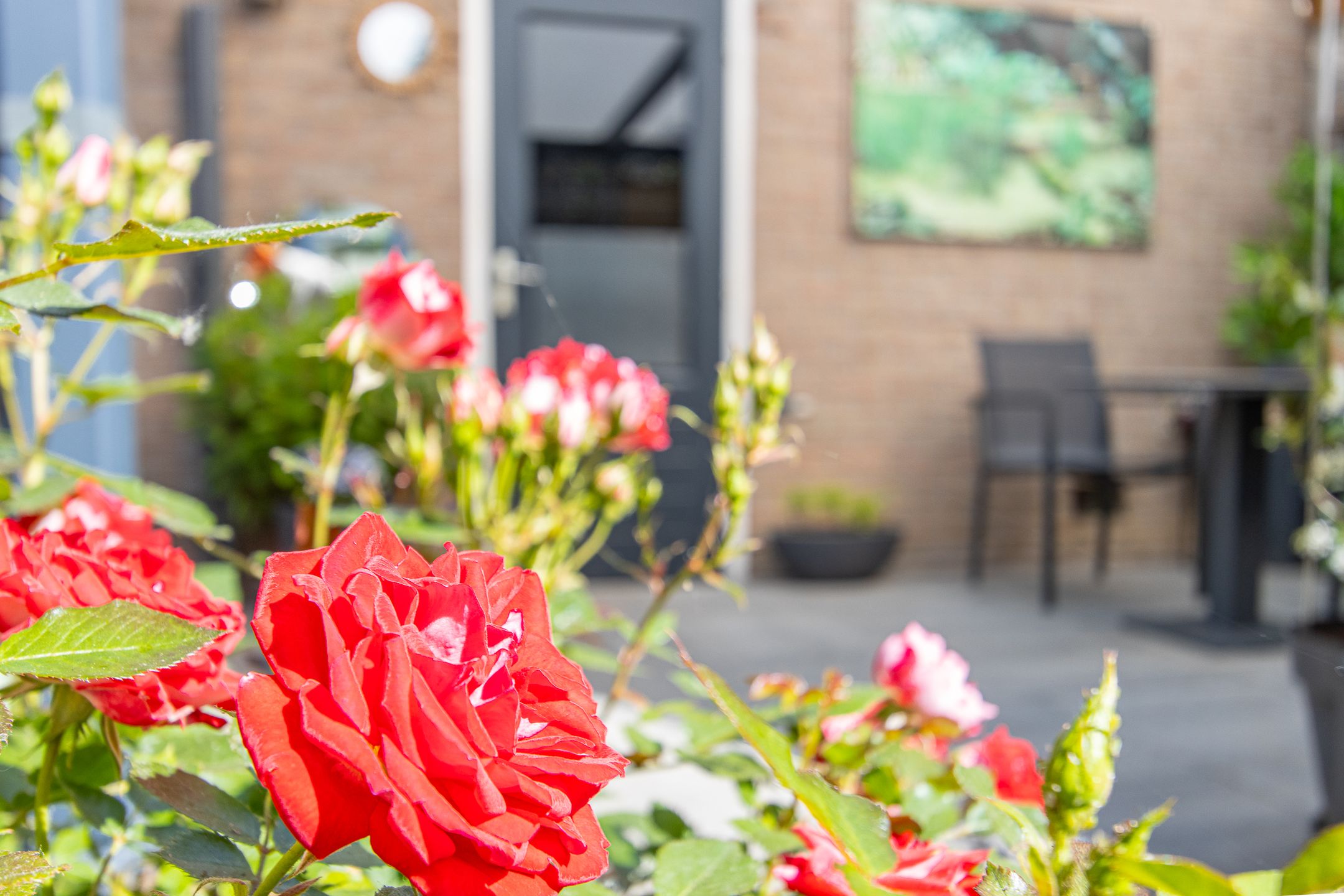 Foto 48 van Waluwestraat 21