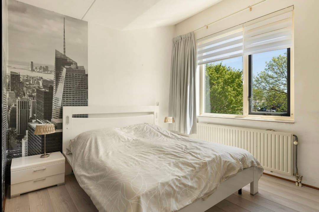 Photo 37 of Haya van Somerensingel 107