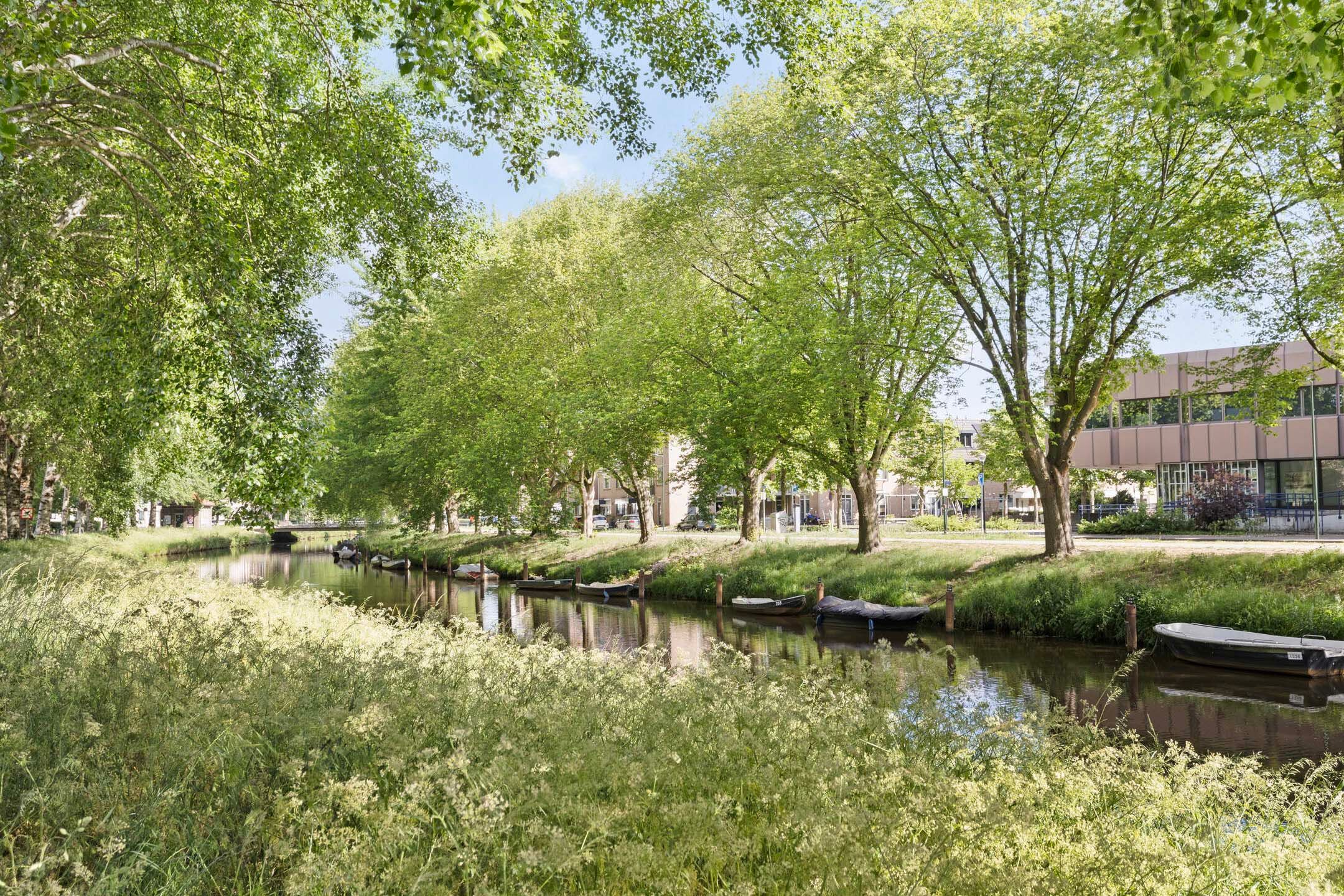 Foto 36 van Nuijtsstraat 35