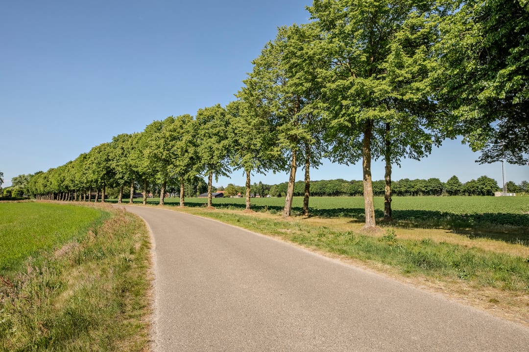 Foto 53 van Laag Spul 9