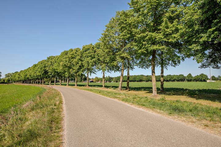 Foto 53 van Laag Spul 9