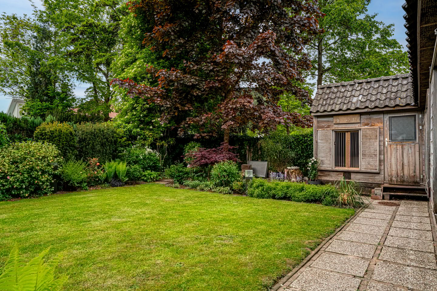 Foto 34 van Schievestraat 25