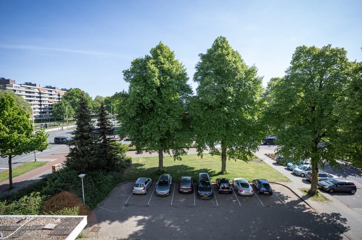 Foto 10 van Pisanostraat 28