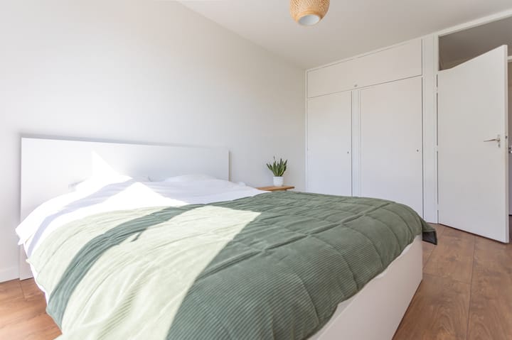 Foto 19 van Pisanostraat 28