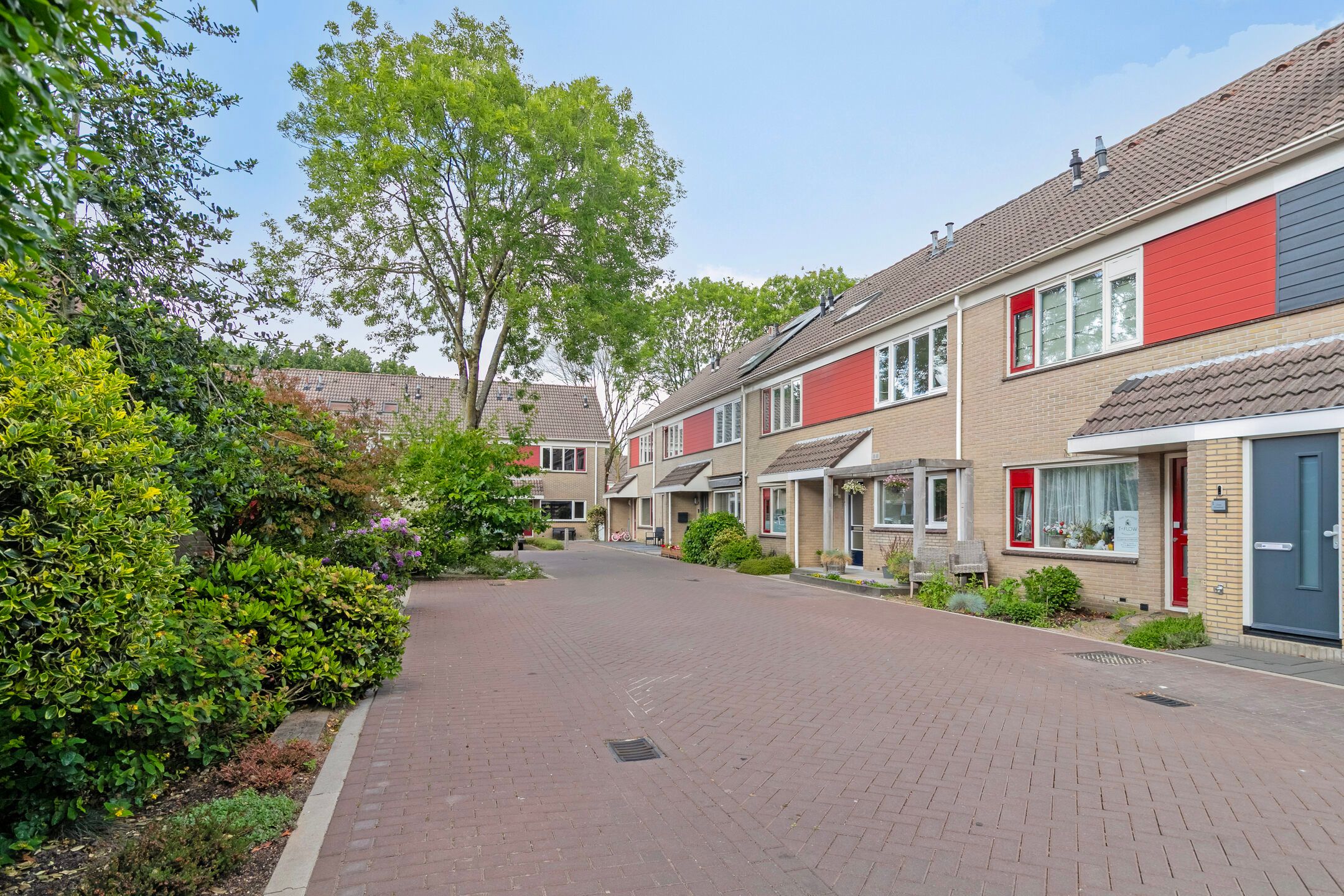 Foto 3 van Zuringveld 5