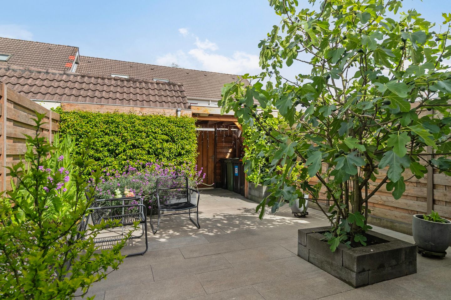 Foto 34 van Zuringveld 5