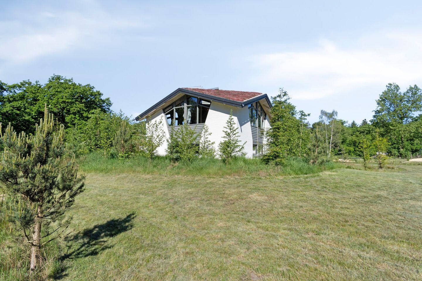 Photo 5 of Bosvilla de Luxe | 31