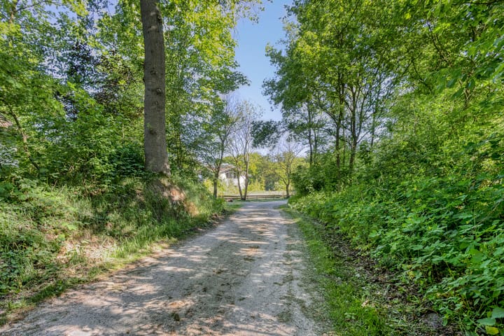 Foto 50 van Bosvilla de Luxe | 31