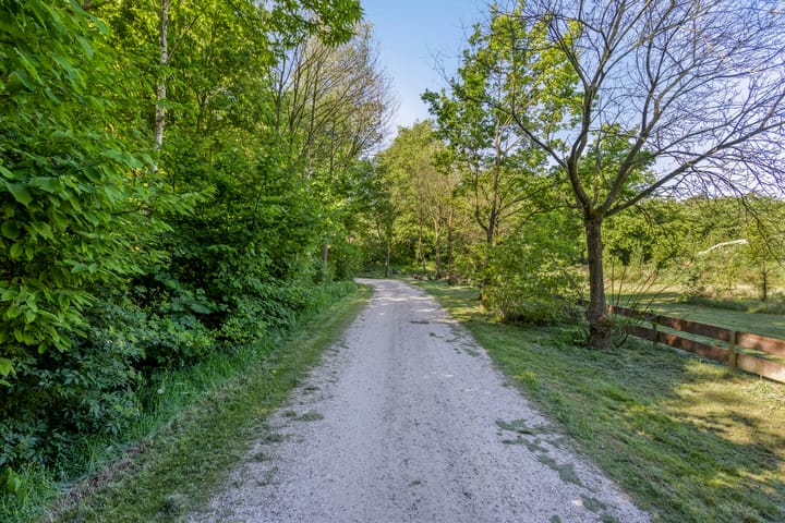 Foto 51 van Bosvilla de Luxe | 31