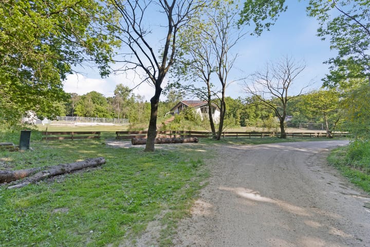 Foto 52 van Bosvilla de Luxe | 31