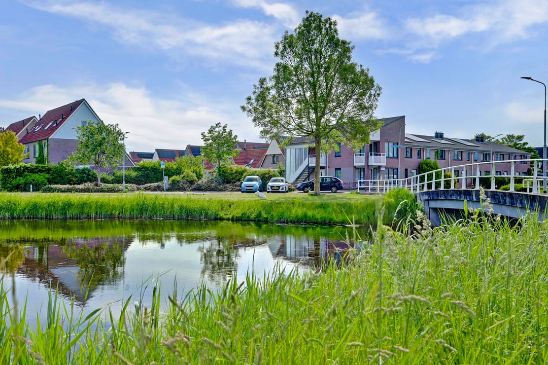 Photo 37 of Waterlelie 71