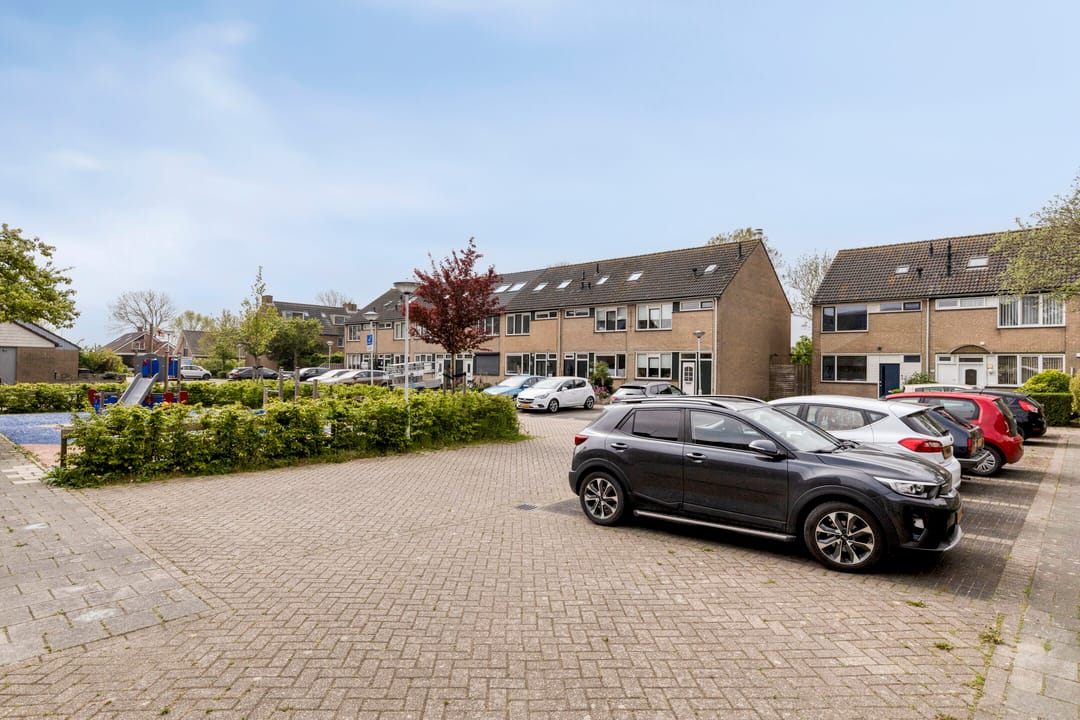 Foto 2 van de Roos 24