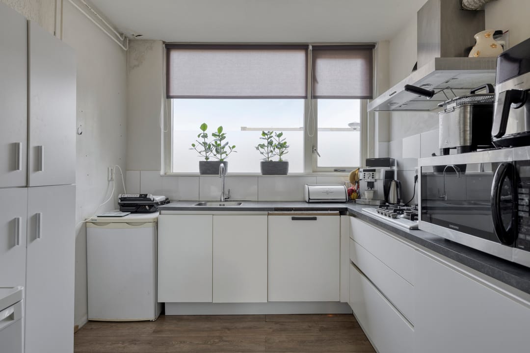 Foto 8 van de Roos 24