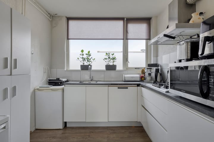 Photo 8 of de Roos 24