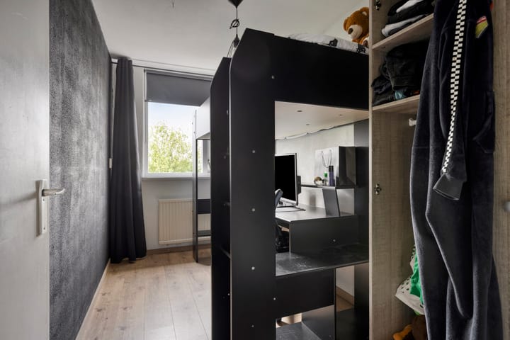 Photo 9 of de Roos 24