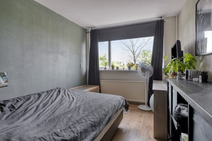 Photo 11 of de Roos 24