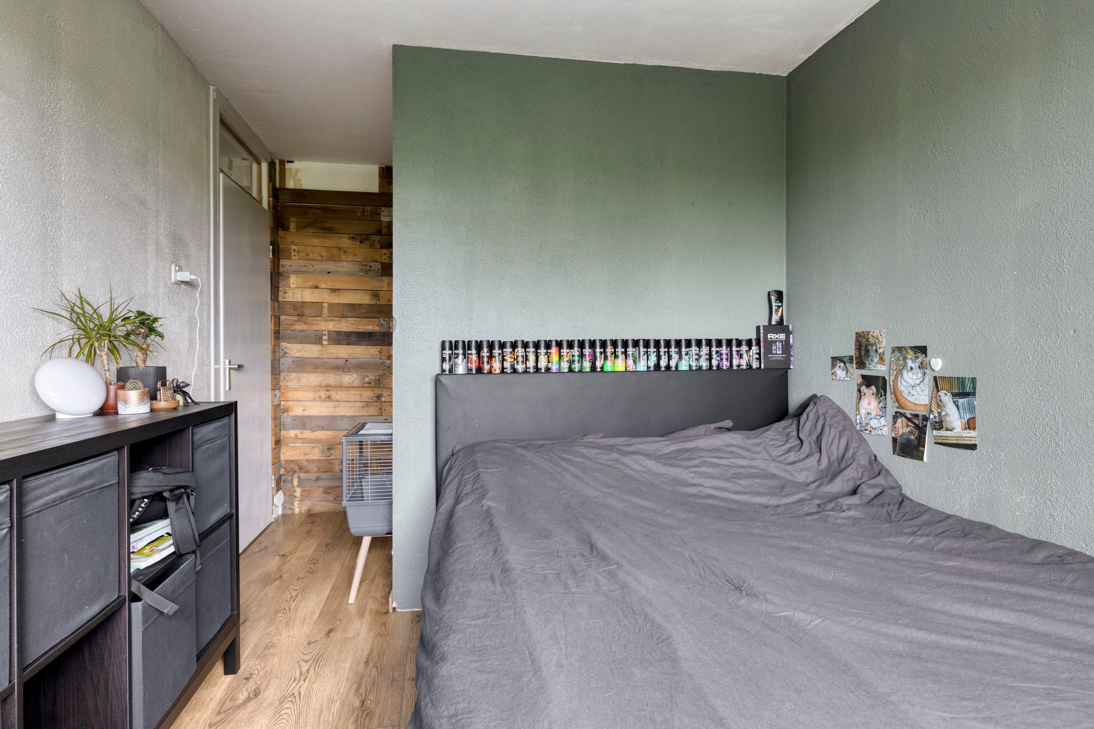 Foto 12 van de Roos 24