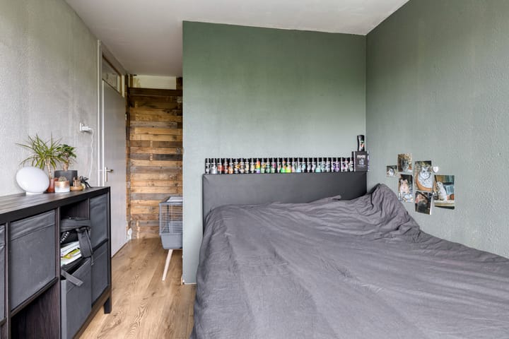 Photo 12 of de Roos 24