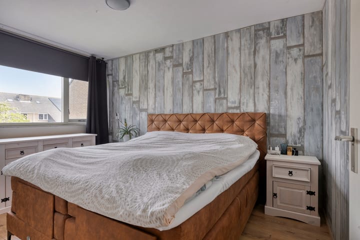 Photo 13 of de Roos 24