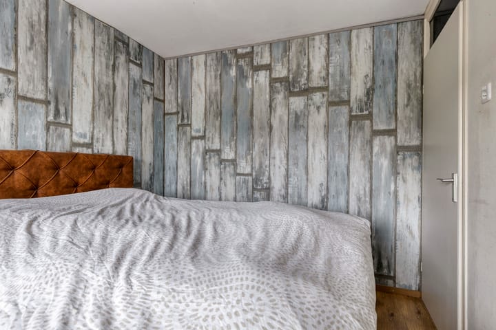 Photo 14 of de Roos 24