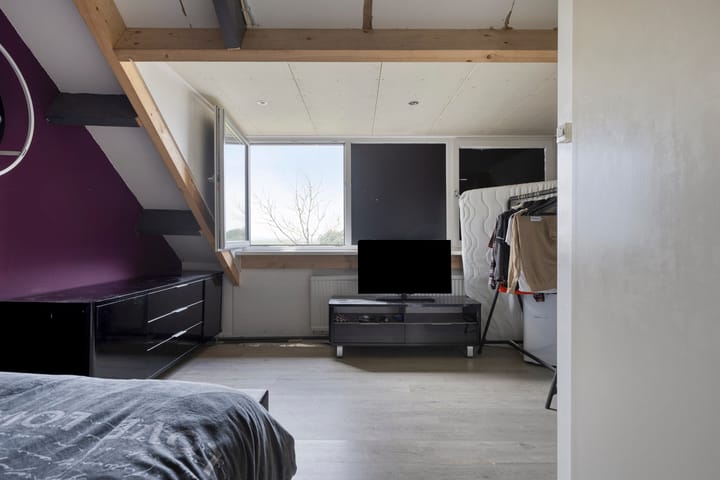 Photo 18 of de Roos 24